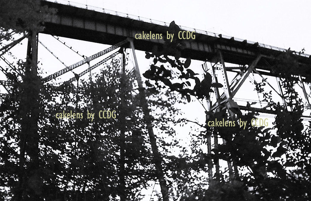 Bridge 1