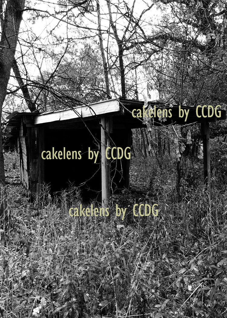 Outdoor Building 3