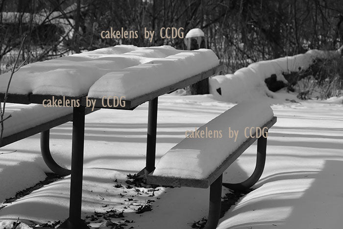 Picnic Table