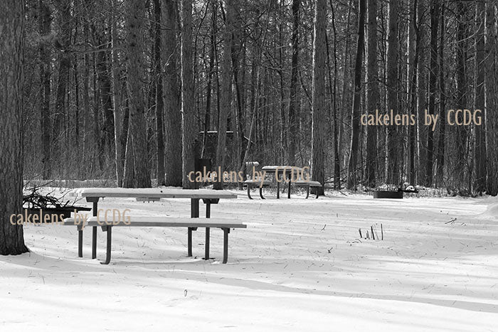Picnic Tables
