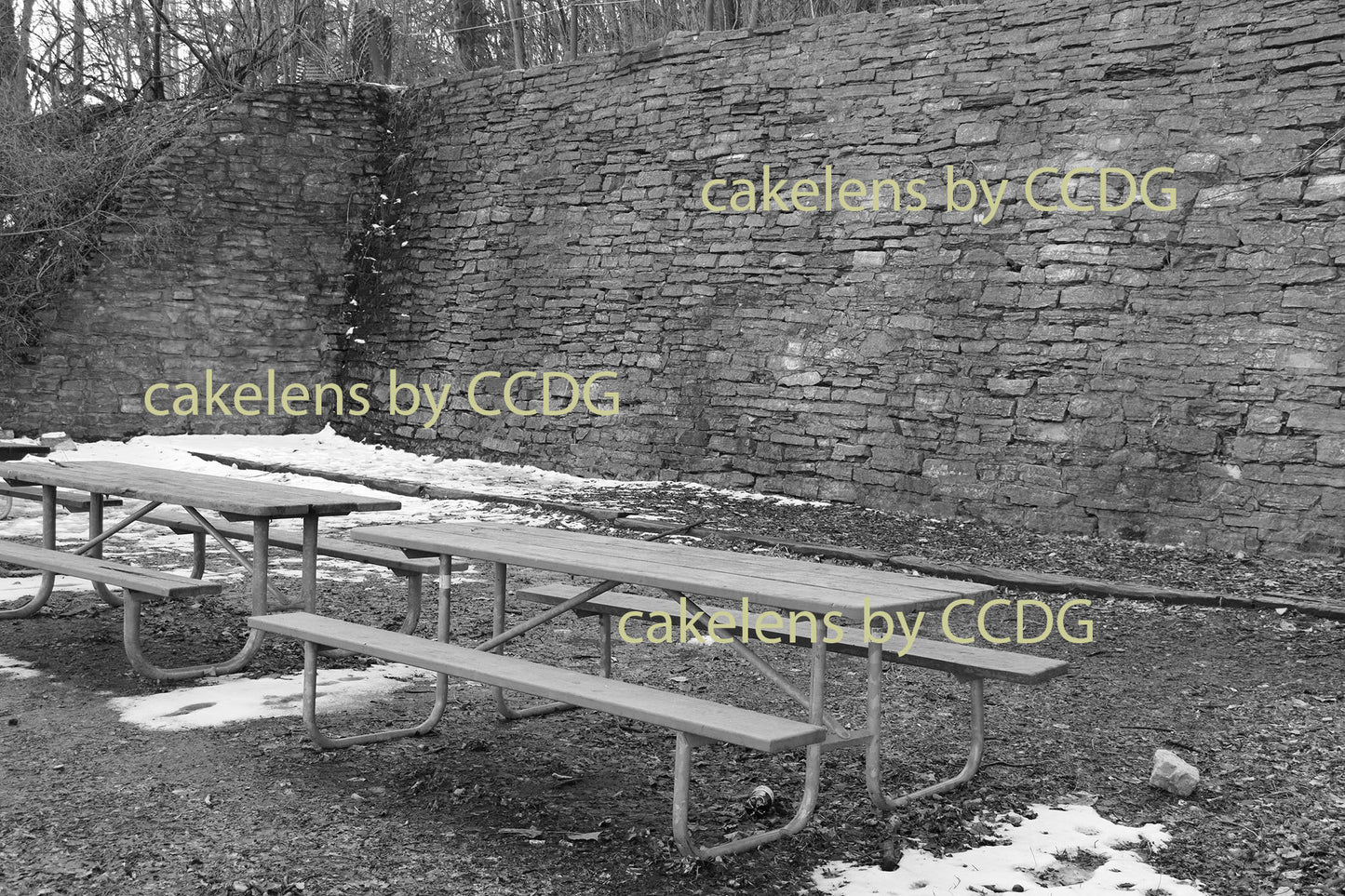 Quarry Hill Park Picnic Tables
