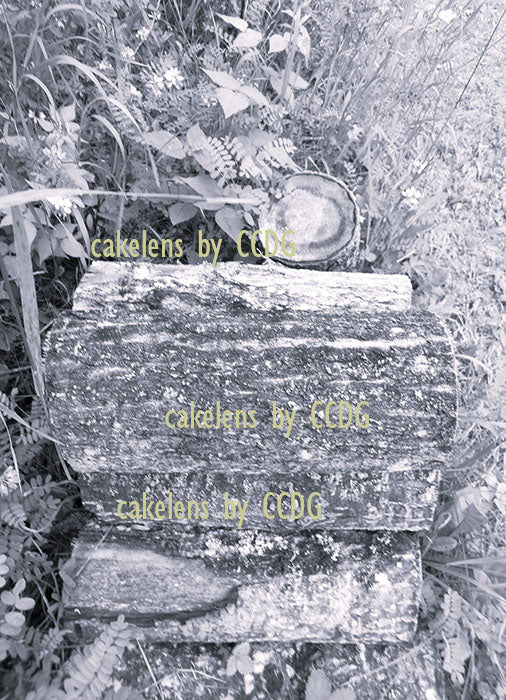 Woodpile 4