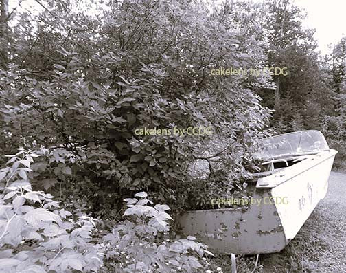 Boat 2