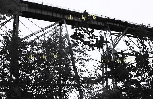 Bridge 1