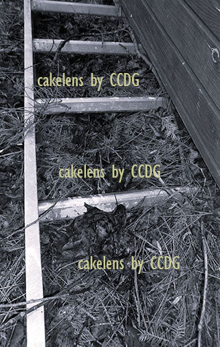 Ladder by Building