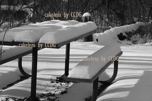 Picnic Table