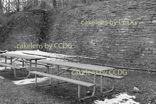 Quarry Hill Park Picnic Tables