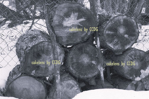 Wood Pile 2