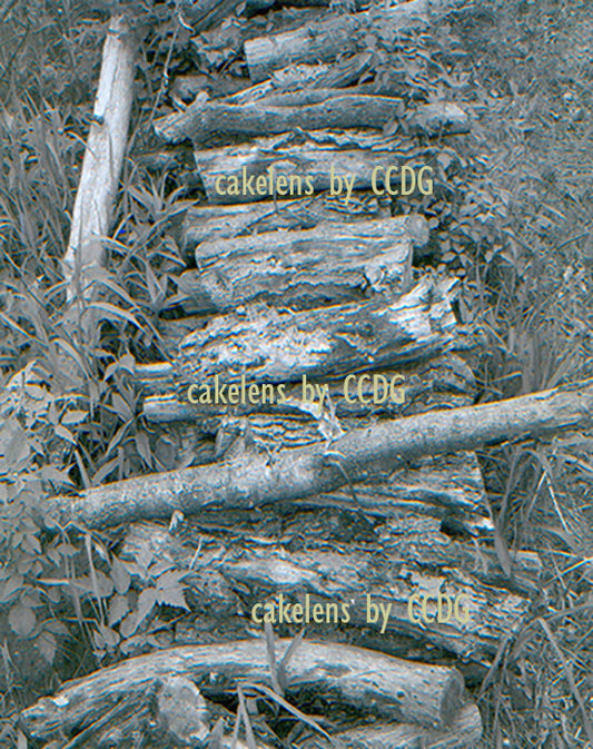 Woodpile 3